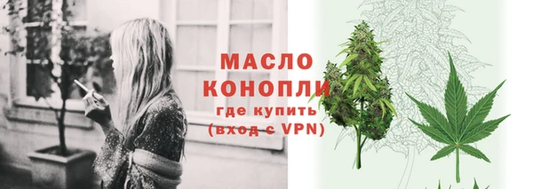 сатива Верея