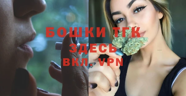 сатива Верея
