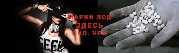 сатива Верея