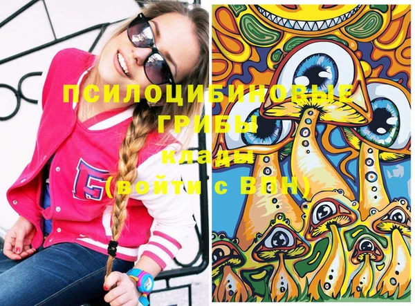 соль курить ск Верхний Тагил