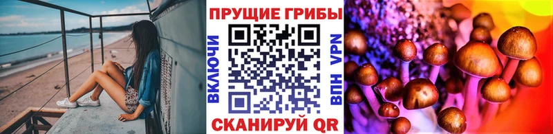 Псилоцибиновые грибы Psilocybine cubensis  Купить где  Макаров 